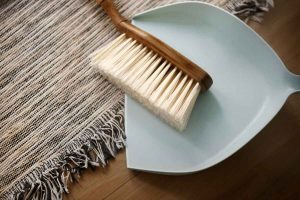 Brushes Used in Housekeeping